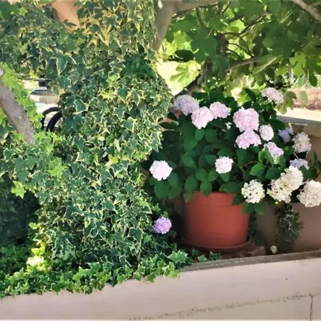 Apartmán Dea & Paula *