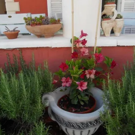 Dea & Paula Apartmán Vodice