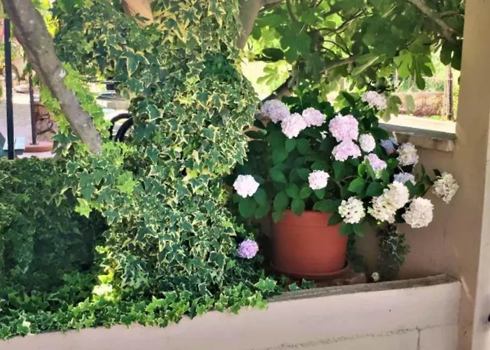 Lägenhet Dea & Paula *