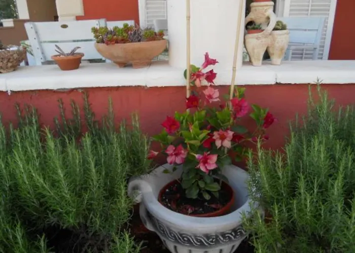 Dea & Paula Appartement Vodice